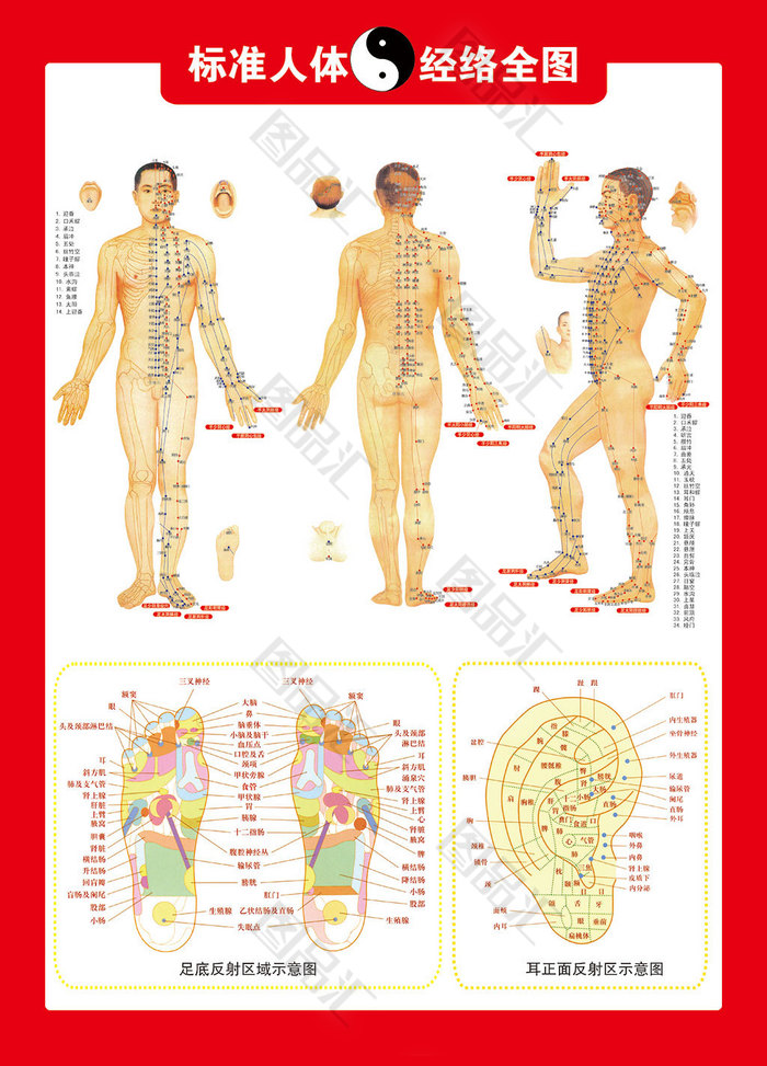 人体穴位图 图品汇