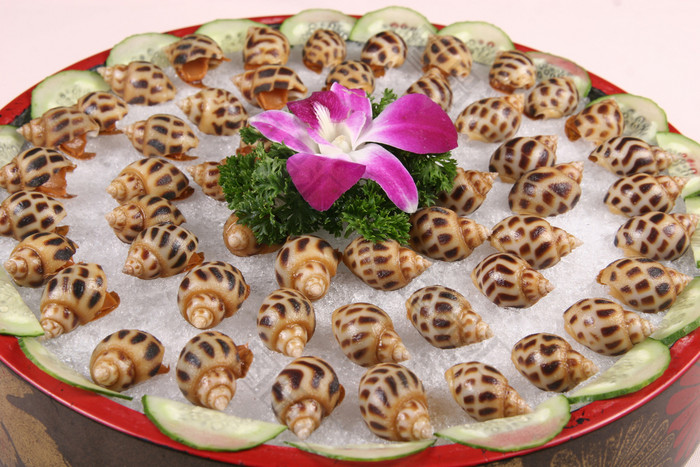 海螺摆盘花式图片