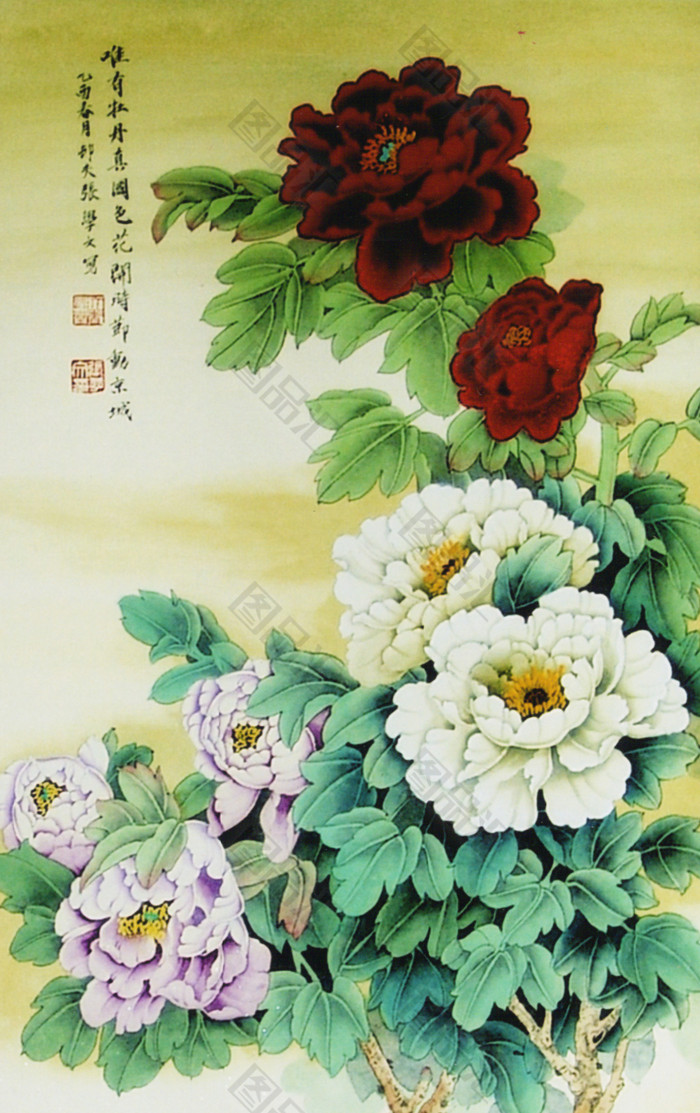 牡丹花装饰画