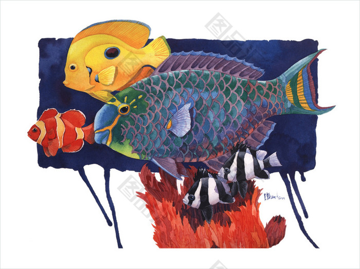 手绘多彩的鱼装饰画2