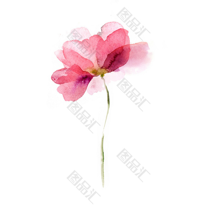手绘水彩花卉装饰画 图品汇