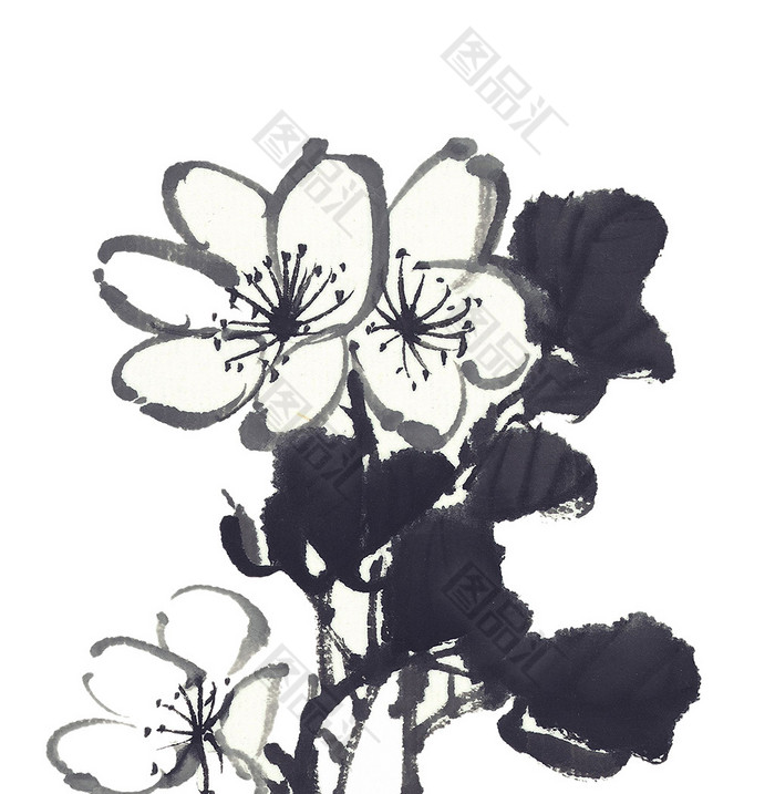 水墨桃花 图品汇