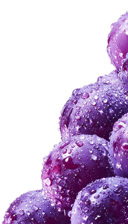 新鲜紫色葡萄